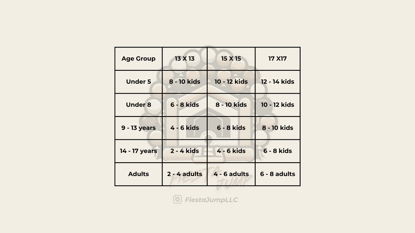 13 X 13 White Bounce House